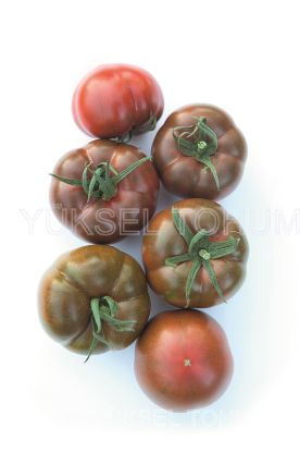 Poza cu Rasaduri de rosii negre Sacher F1