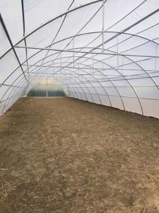 Poza cu Folie TUV 3781 Plastika Kristis - 180 microni Grecia 