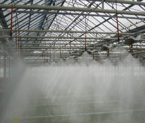 Poza pentru categoria Microaspersie, Ceata si Capilare