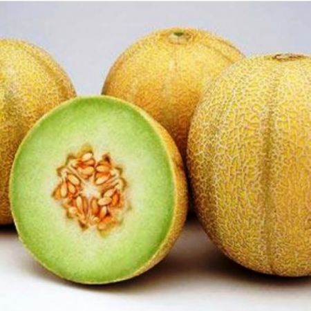 Poza pentru categoria Seminte de Pepeni galbeni