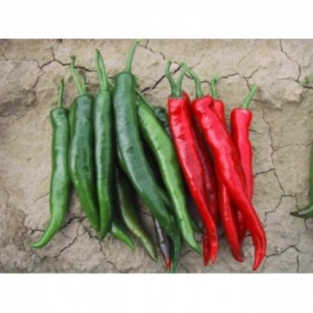 Poza pentru categoria Seminte Ardei Iute