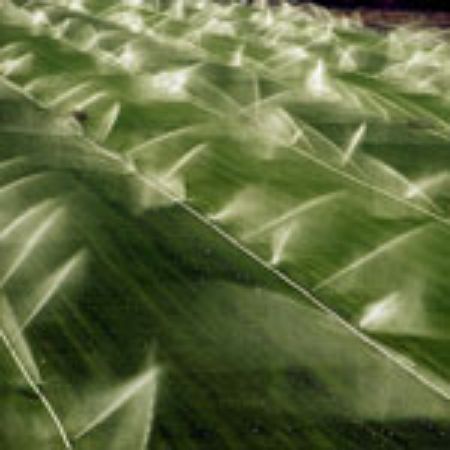 Poza pentru categoria Sisteme irigatii