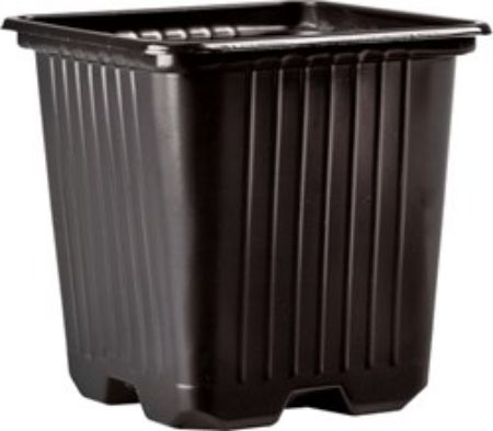 Poza pentru categoria Pahare rasaduri