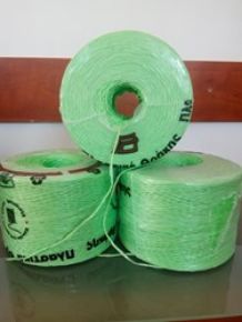 Poza pentru categoria Palisare legume