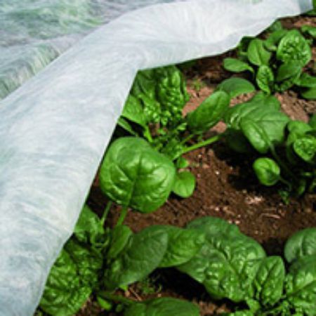 Poza pentru categoria Folii si plase protectie