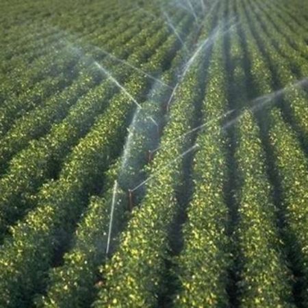 Poza pentru categoria Irigare prin Aspersie Fina 