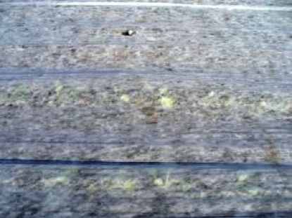 Folie Microporoasa Antiinghet Agril (17 gr/mp)