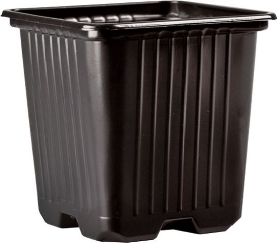 Poza cu Pahar Rasad - 9 x 9 x 8 PP