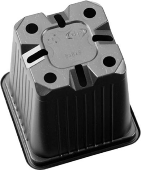 Poza cu Pahar Rasad - 9 x 9 x 10 PP