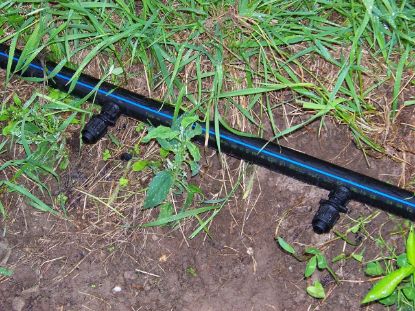 Poza cu Teava pentru Sistemele de Irigatie 6 atm