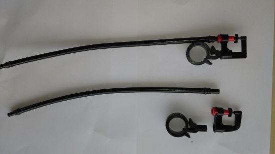 Poza cu Irigare prin microaspersie si ceata 