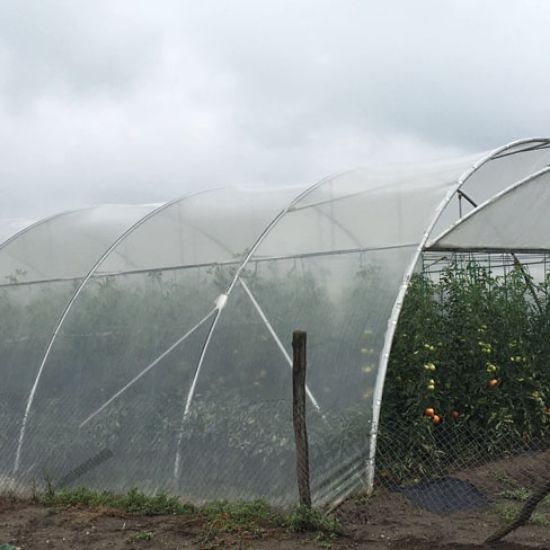 Poza cu Folie solar profesionala - 200 microni Pati Italia