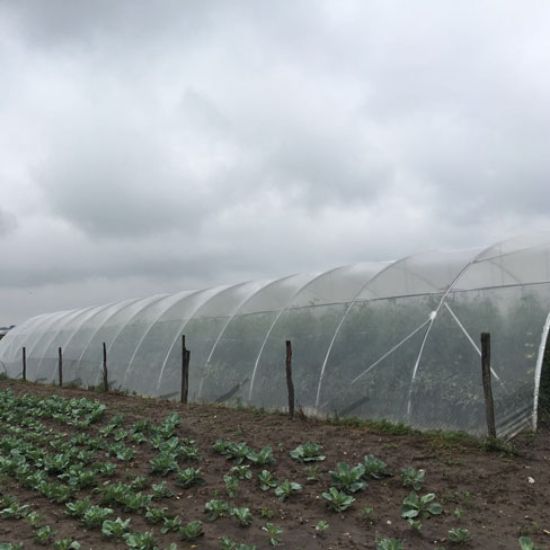 Poza cu Folie solar profesionala - 200 microni Pati Italia