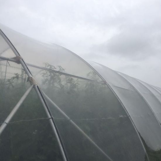 Poza cu Folie solar profesionala - 200 microni Pati Italia