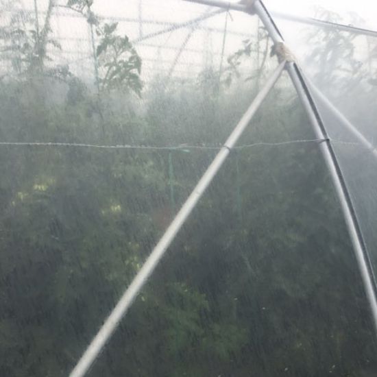 Poza cu Folie solar profesionala - 200 microni Pati Italia