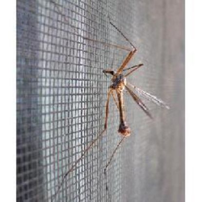 Plasa contra insectelor