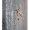 Poza cu Plasa contra insectelor