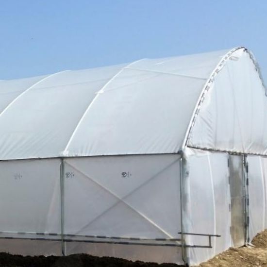 Poza cu Folie Solarii - 150 microni Israel