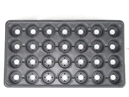 Poza cu Tavite Alveolare