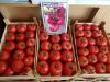 Poza cu Rasaduri de Rosii roz Gusto Pink F1 ( varianta imbunatatita Pink Rock )