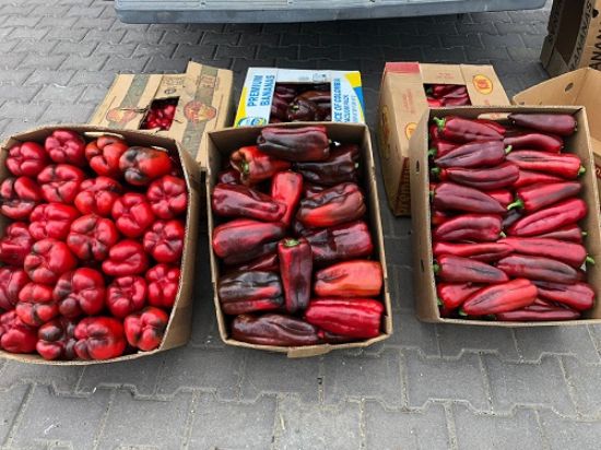 Poza cu Rasaduri de Ardei Kapia Urias 133-414 F1