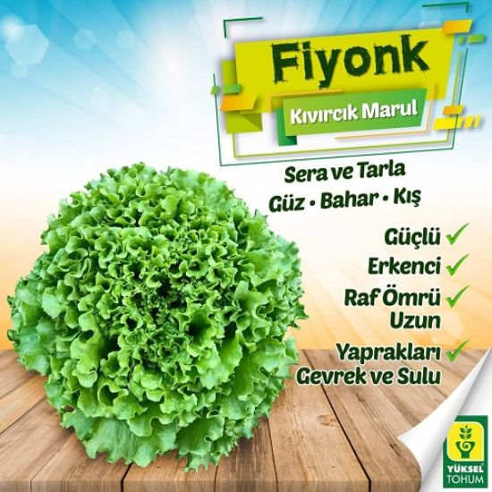 Poza cu Rasaduri de Salata Verde Creata Fiyonk F1