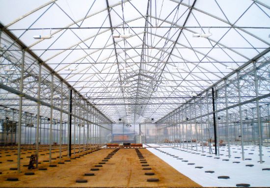 Poza cu Folie pentru solar 180 microni Pati Italia