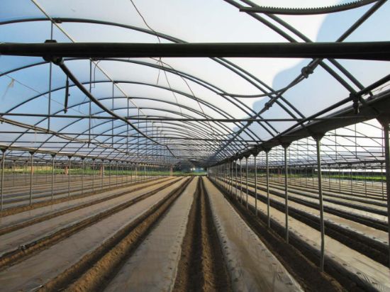 Poza cu Folie pentru solar 180 microni Pati Italia