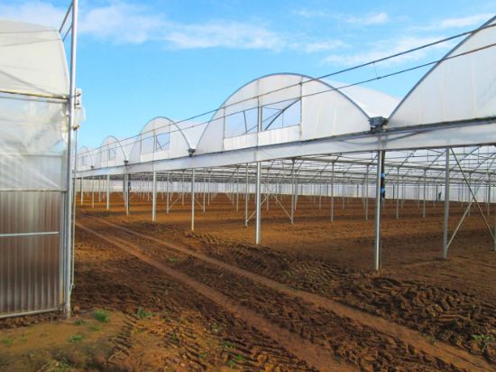 Poza cu Folie pentru solar 180 microni Pati Italia