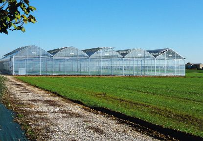 Poza cu Folie solar profesionala - 200 microni Pati Italia