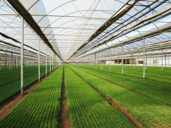 Poza cu Folie solar 160 microni profesionala Pati