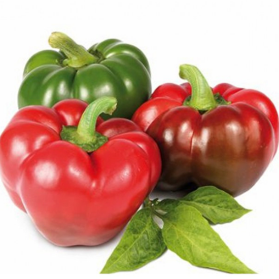 Poza cu Rasaduri de gogosari  Zeleni