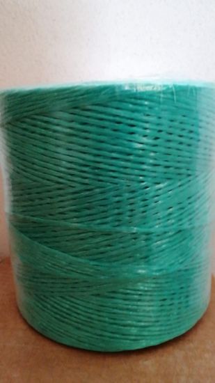 Poza cu Ata Palisare Legume