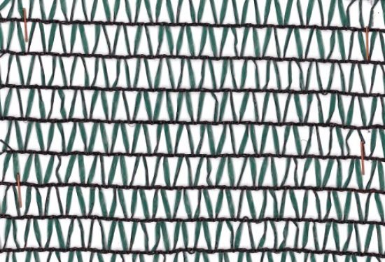 Poza cu Plasă de Umbrire 35%