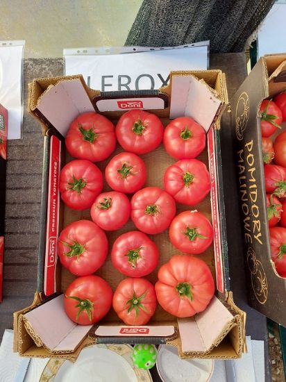 Poza cu Seminte de rosii roz crete Leroxy F1