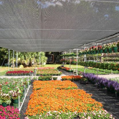 Plasă de Umbrire 35%