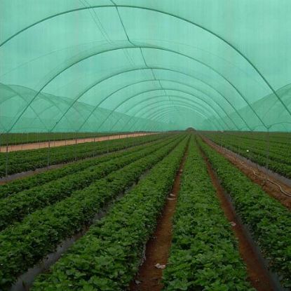 Poza cu Plasă de Umbrire GeoSol 45%