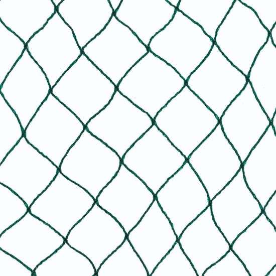 Poza cu Plasă Anti Păsări GeoAvis17