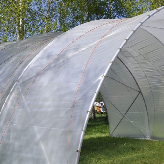 Poza cu Clipsuri Metalice