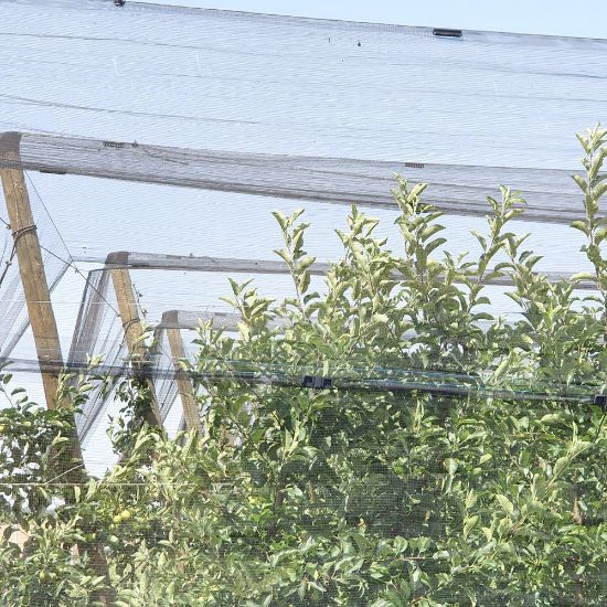 Poza cu Plasǎ Anti Grindinǎ GeoAura