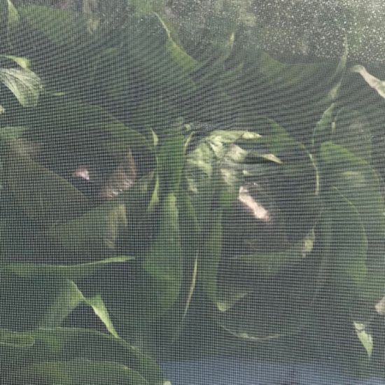 Poza cu Plasă Anti Insecte GeoInsect20