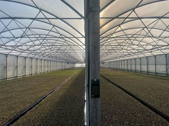 Poza cu FOLIE PLASTIKA KRITIS IN 8 STRATURI EVO 7504 AC, CRYSTAL CLEAR