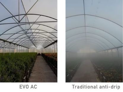 FOLIE PLASTIKA KRITIS IN 8 STRATURI EVO 7504 AC, CRYSTAL CLEAR