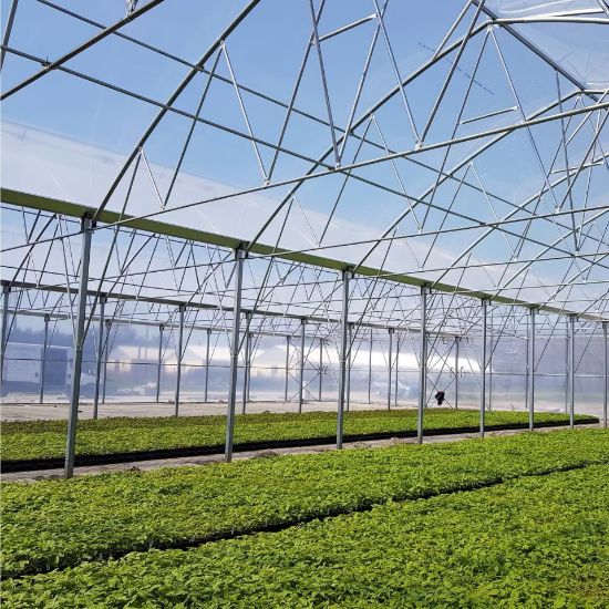 Poza cu FOLIE PLASTIKA KRITIS KRITIFIL®️ 2996 Crystal Clear