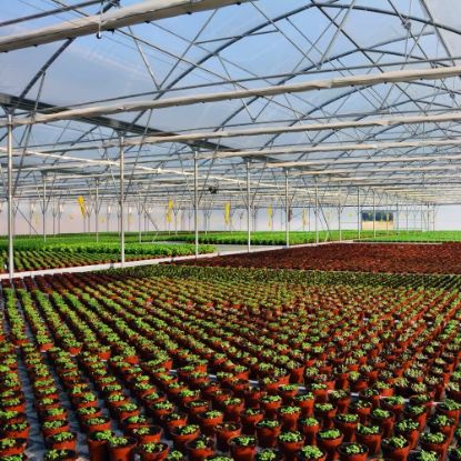 Poza cu FOLIE PLASTIKA KRITIS KRITIFIL® 2925 Anti Picurare