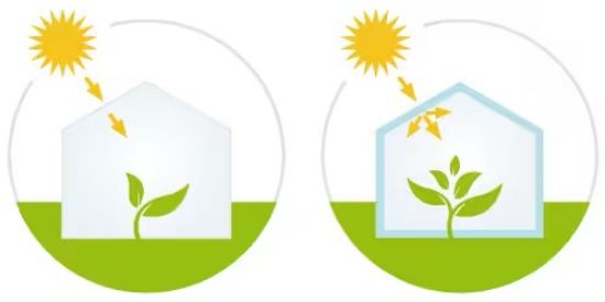 Poza cu FOLIE PLASTIKA KRITIS KRITIFIL® 2925 Anti Picurare