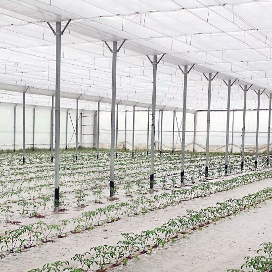 Poza cu FOLIE TERMICĂ perforată, tratată UV și IR 4202