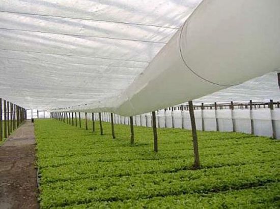 Poza cu FOLIE TERMICĂ perforată, tratată UV și IR 4202