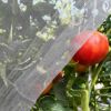 Poza cu Plasa anti insecte alba ECO 1.5m x 50 m